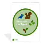 Secrets in the Trees piano sheet music by Wendy Stevens
