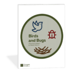 Birds and Bugs Short Sheets™ Short piano solos by Wendy Stevens | ComposeCreate.com