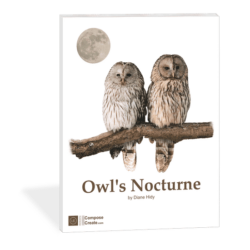 Owl's Nocturne - Late elementary piano solo by Diane Hidy