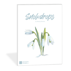 Snowdrops by Wendy Stevens - Winter piano solo available at ComposeCreate.com