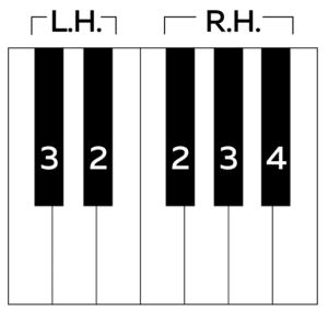 Here's an example of a 
black-key hand position image. 