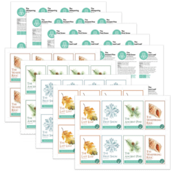 Beautiful Wonders Music Achievement Cards by Wendy Stevens | COmposeCreate.com