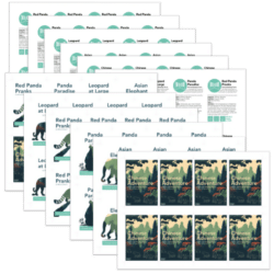 Chinese Adventure Music Achievement Cards by Wendy Stevens | COmposeCreate.com