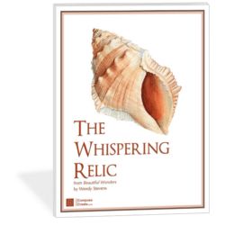 The Whispering Relic piano solo by Wendy Stevens | ComposeCreate.com | Part of the Beautiful Wonders Series